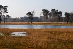 20260322-Bolero-Gravel-Turnhout_tdebelle_ScnreeRes-3253