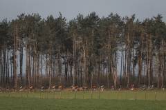 20260322-Bolero-Gravel-Turnhout_tdebelle_ScnreeRes-9340