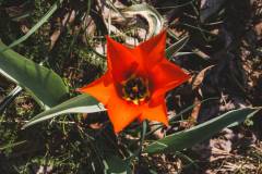 20260322-Bolero-Gravel-Turnhout_tdebelle_ScnreeRes-9516